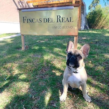 Fincas Del Real Colonia del Sacramento Exterior photo