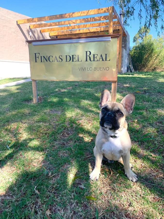 Fincas Del Real Colonia del Sacramento Exterior photo